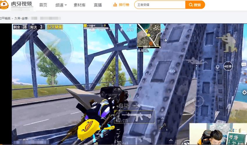 和平精英辅助【火焰鸟一体直装】人物透视 无后坐力 开枪自瞄 开车飞天 飞天跳伞 皮肤美化 物资显示 队伍信息