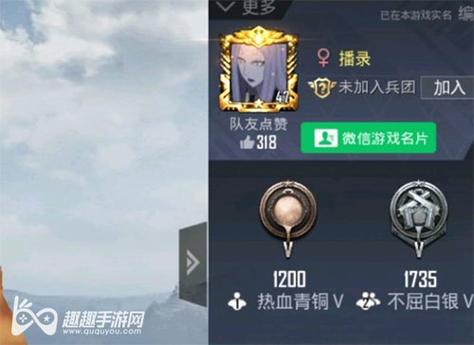 和平精英辅助《火锅》容器直装外挂全新稳定